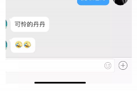 临泽为什么选择专业追讨公司来处理您的债务纠纷？